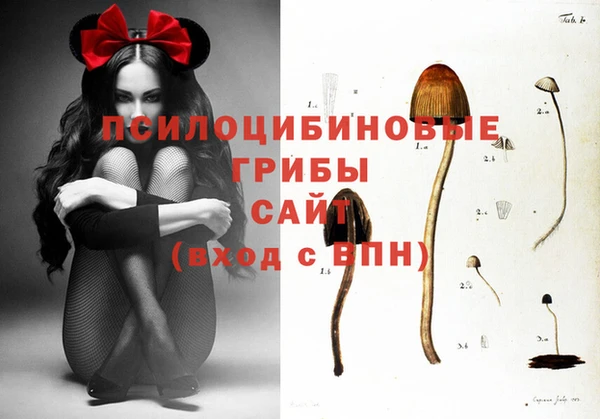 ГАЛЛЮЦИНОГЕННЫЕ ГРИБЫ Михайловка