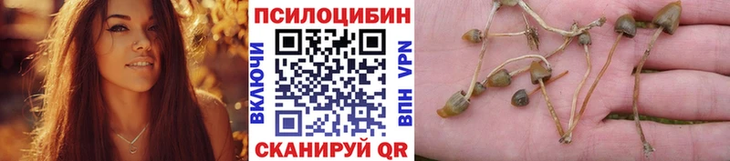 где продают наркотики  Орлов  Галлюциногенные грибы GOLDEN TEACHER 